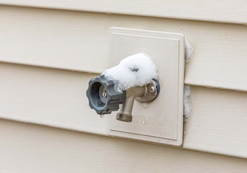freeze-proof spigot price