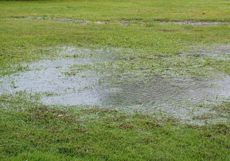 lawn standing water problem