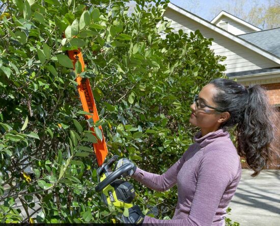Ryobi 18v hedge trimmer