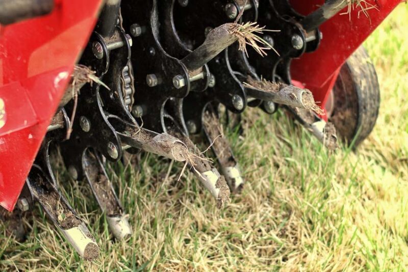 aerating lawn for winter seeding