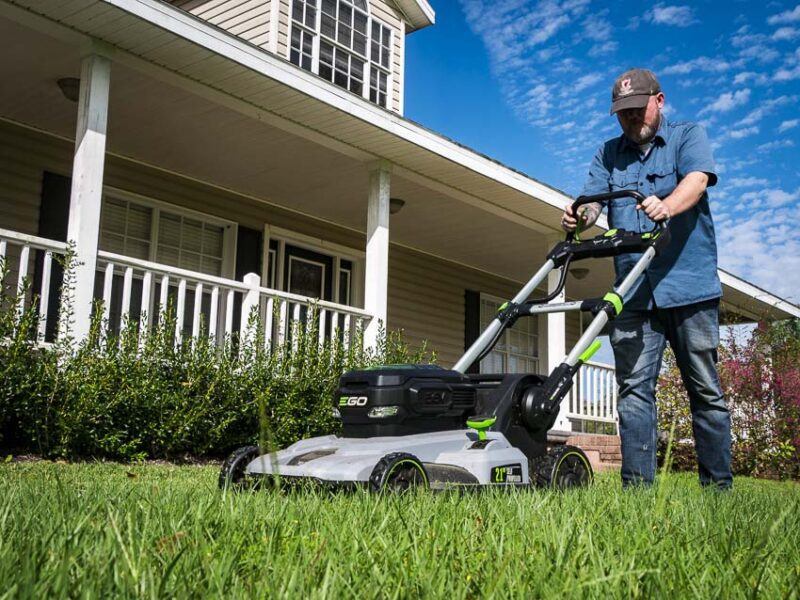 low maintenance grass minimal mowing