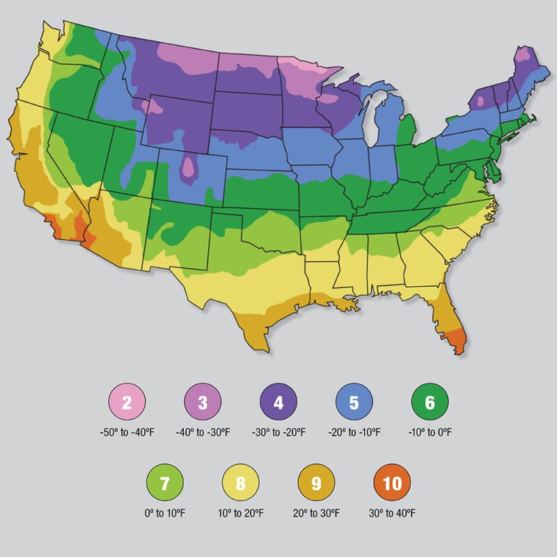 plant and grass regions