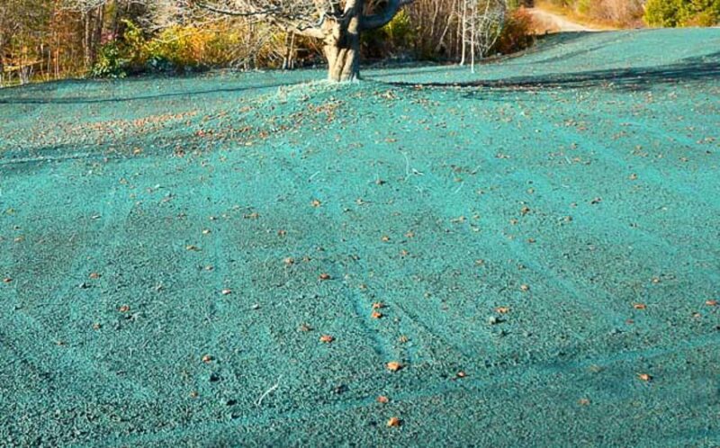 hydroseeding grass in the winter