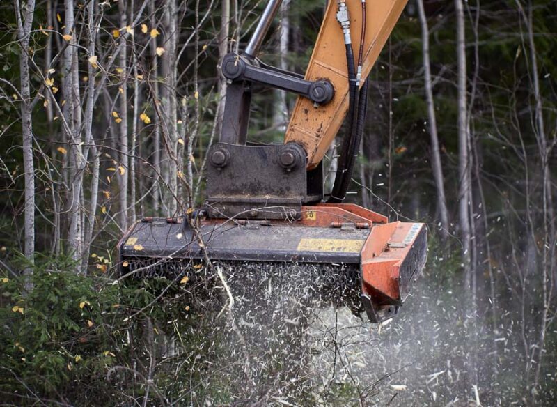 land clearing cost