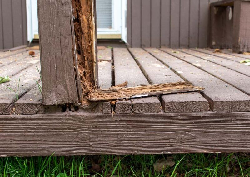 cost of repairing deck damage