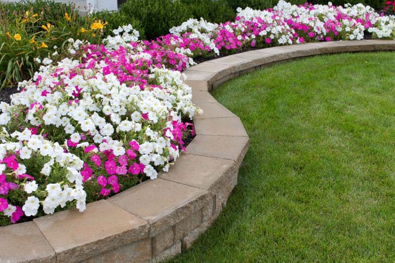 pre emergent weed control in gardens
