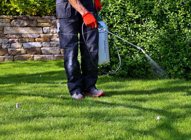when to apply pre emergent herbicide