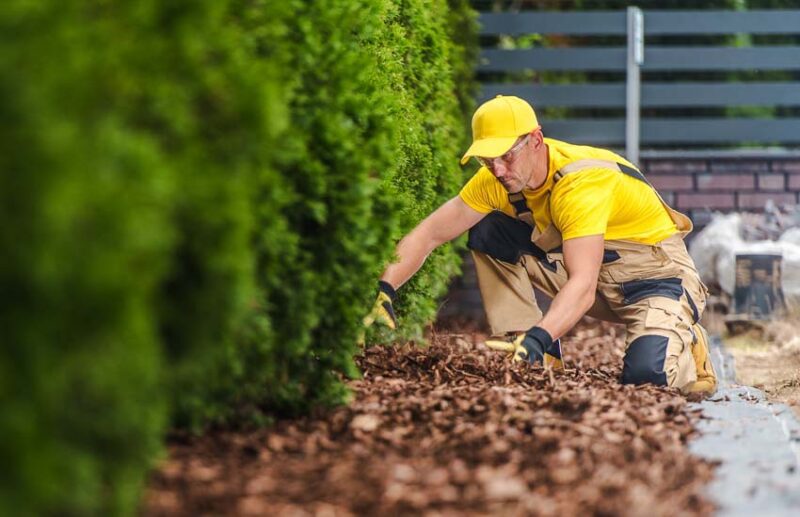 price of professional landscaper