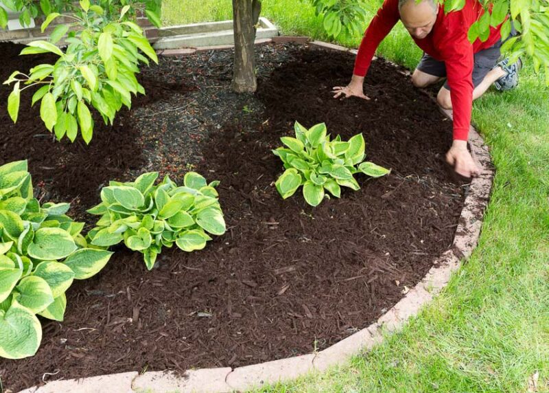 DIY mulching