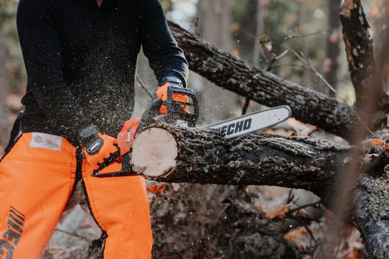 echo gas chainsaw cs-4010