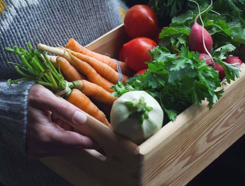 winter vegetable gardening in the pacific northwest