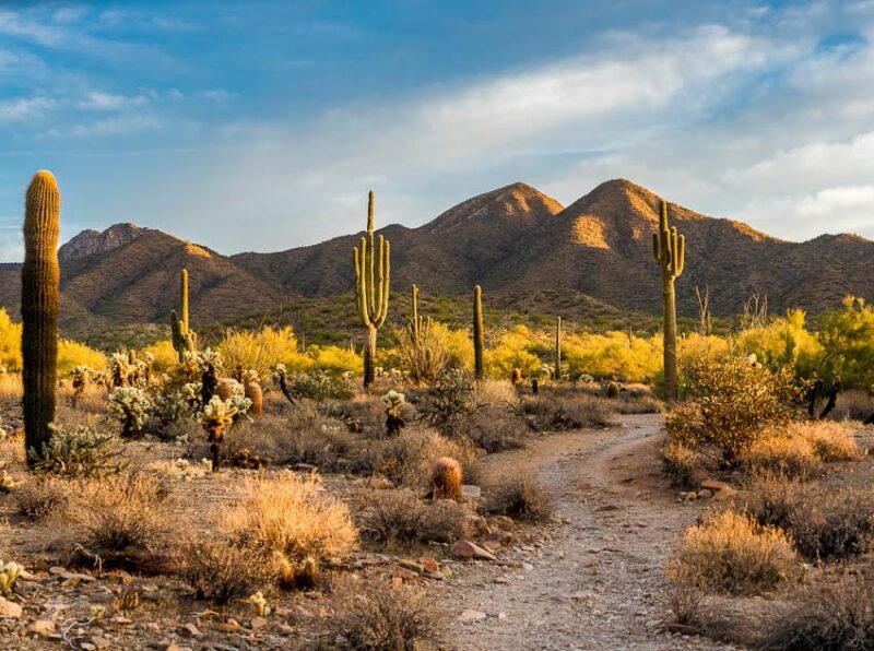 mountainous regions in the american desert