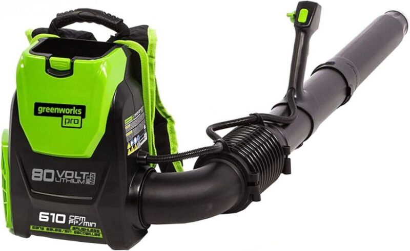 greenworks BPB80L00