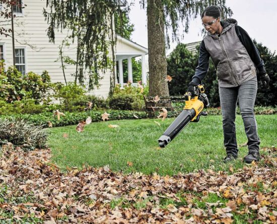dewalt 20v brushless blower
