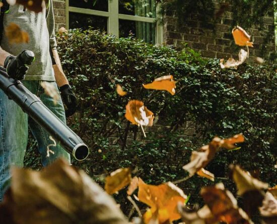 greenworks 610 cfm blower