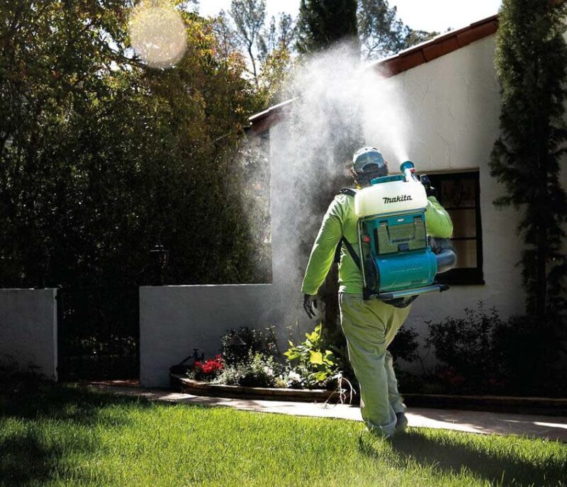 applying pre-emergents in the fall