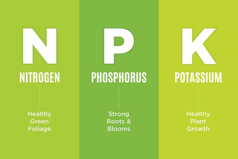 fertilizer npk ratio