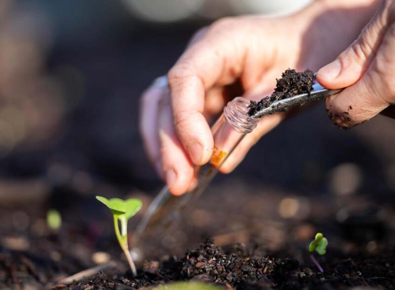 how to fertilize your lawn in the fall