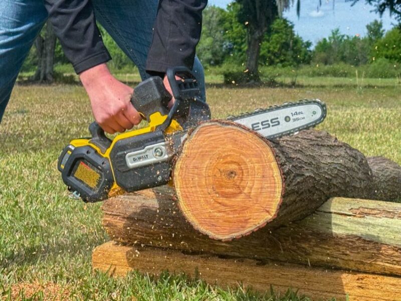 dewalt top-handle chainsaw