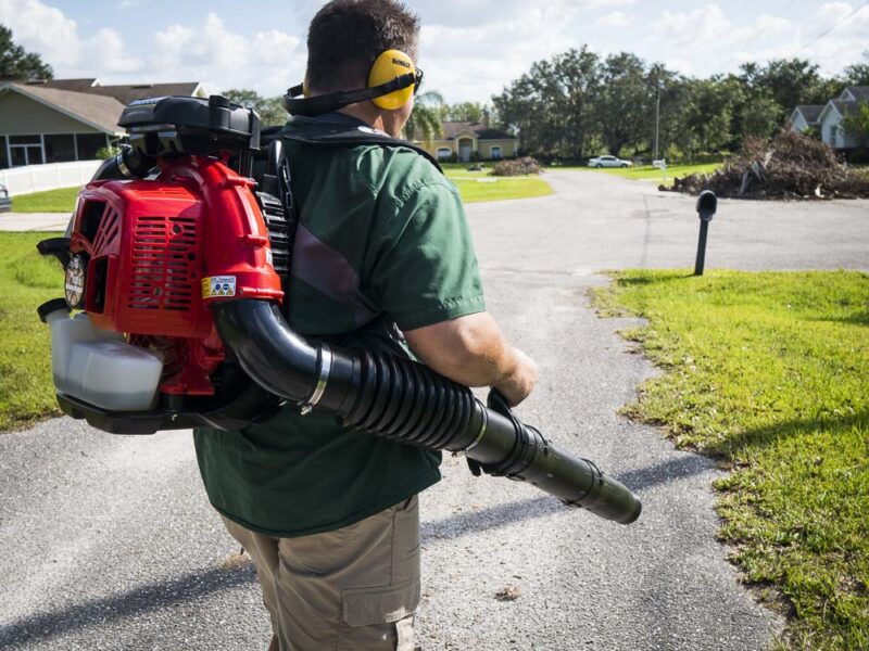 RedMax EBZ8500 Backpack Blower Review OPE Reviews