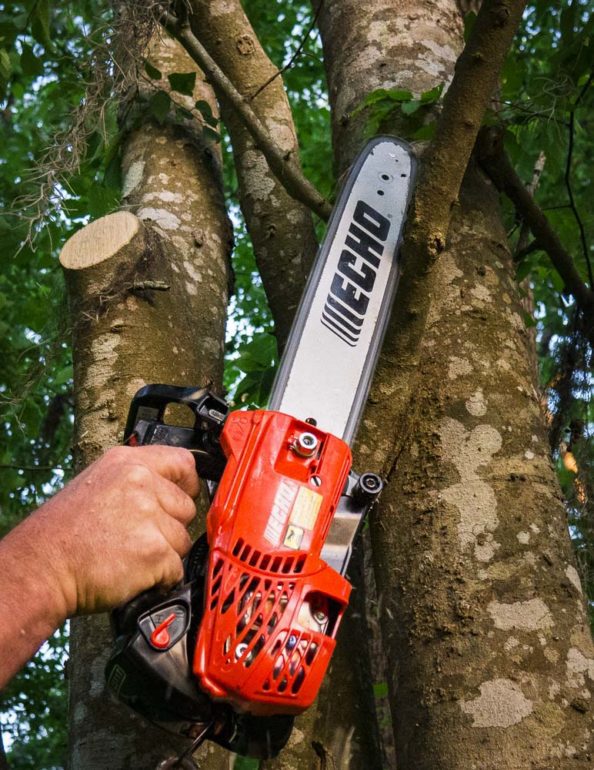 Echo Cs 2511t Review The Lightest Top Handle Chainsaw Ope Revie