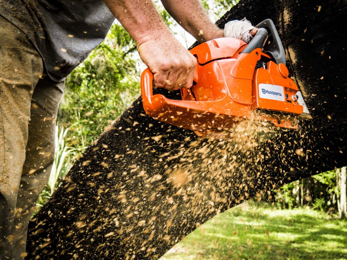 What Chainsaw Do Professional Loggers Use?