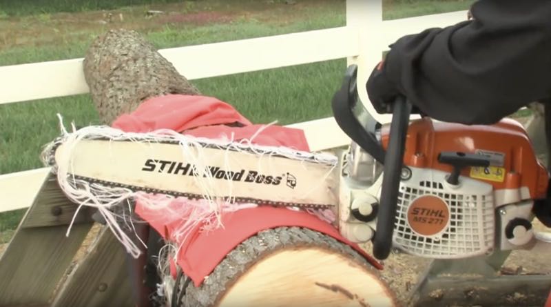 STIHL Chainsaw Protective Chaps - chainsaw safety tips