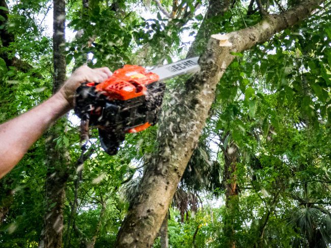 Upside Down Chainsaw Bars