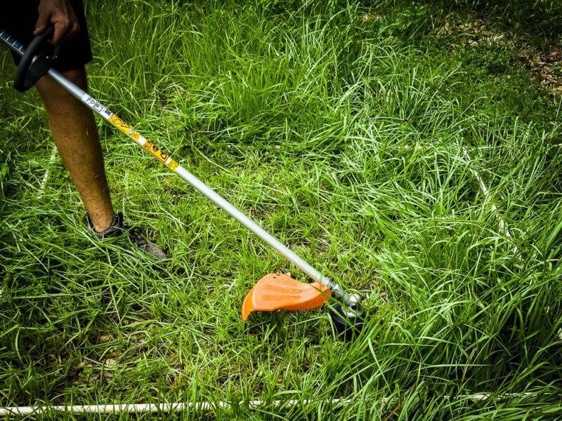 trimming tall grass