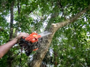 Replacing A Chainsaw Blade