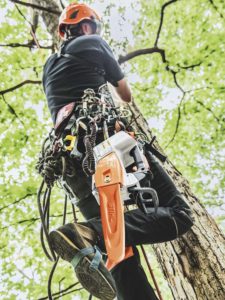 Stihl Top Handle Chainsaw Tethered