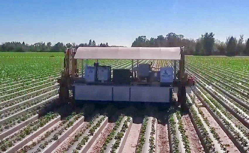 agricultural robots