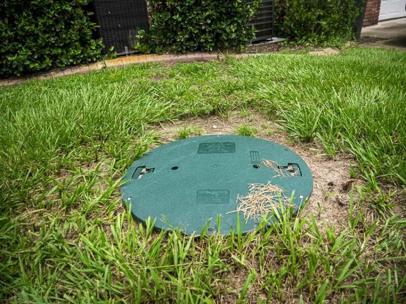 Landscaping Around a Septic System What to Do and How OPE