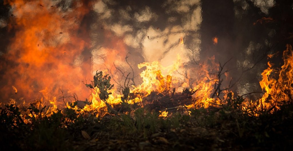 How to Protect Your Home from Wildfires