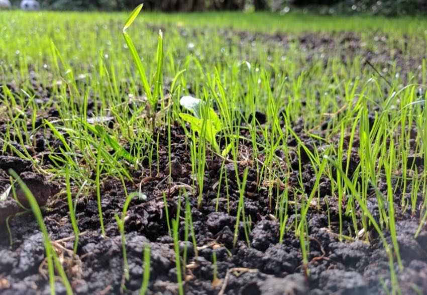 How to Patch Your Lawn - Adding Grass and Prepping Soil