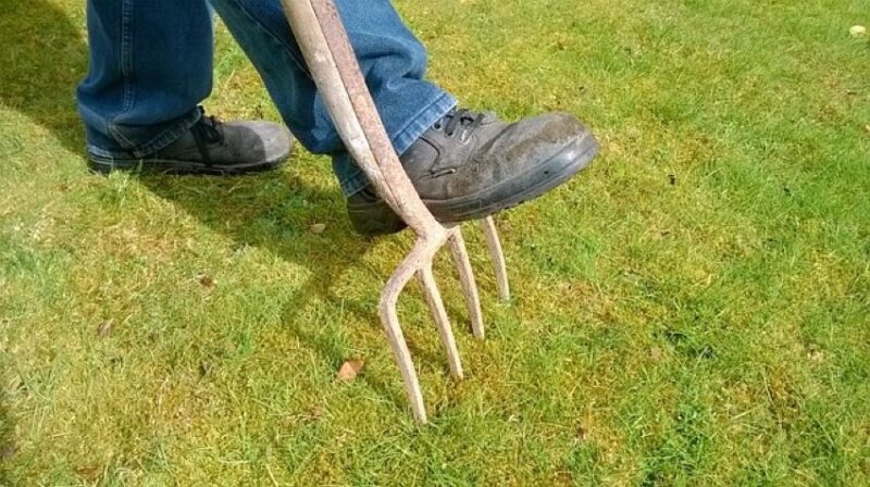 aerating your lawn