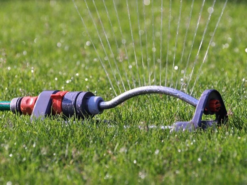 watering your lawn after patching or seeding
