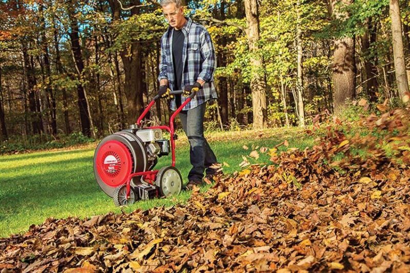 The Best Ways To Handle Leaf Removal in Your Yard - OPE Reviews