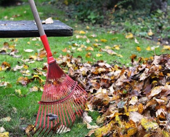 Leaf Removal Feature