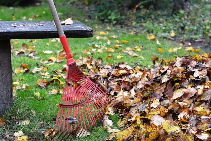 Leaf Removal Feature