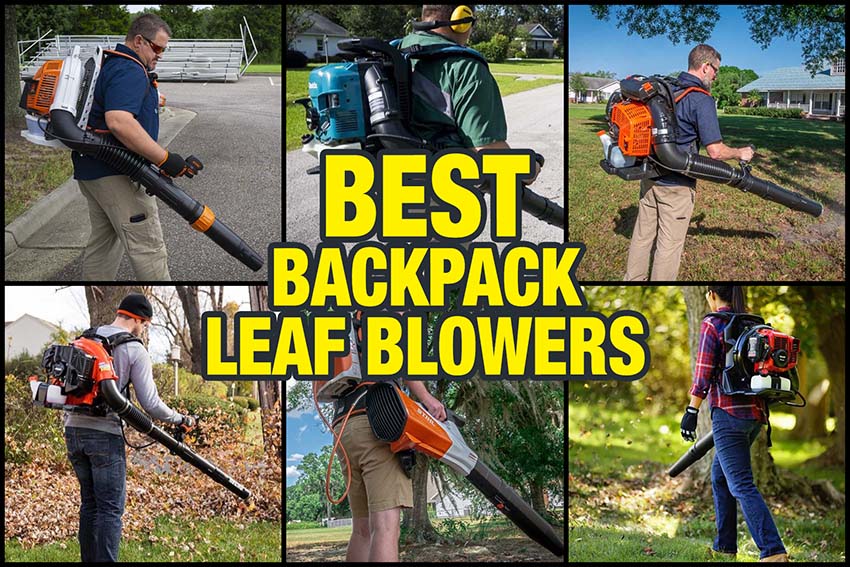 Most powerful store backpack blower