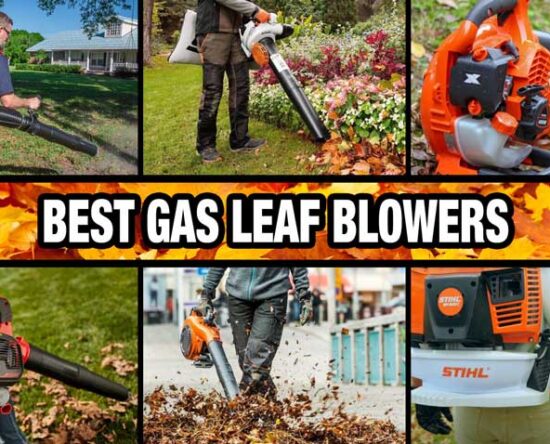 Best Gas Powered Leaf Blower Reviews for 2022