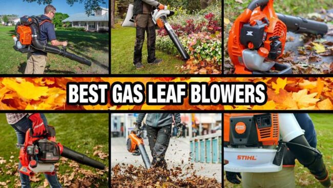 Best Gas Powered Leaf Blower Reviews For 2022 Ope Reviews