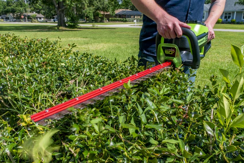 Greenworks 60V cordless hedge trimmer