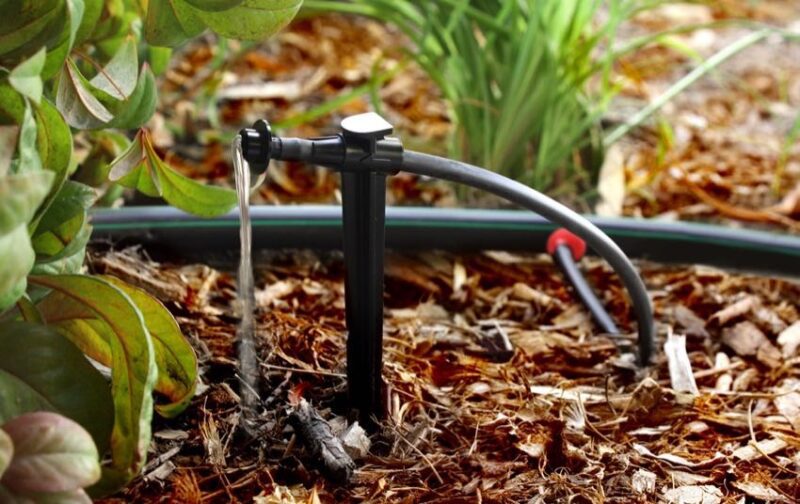 Rain Bird drip irrigation system