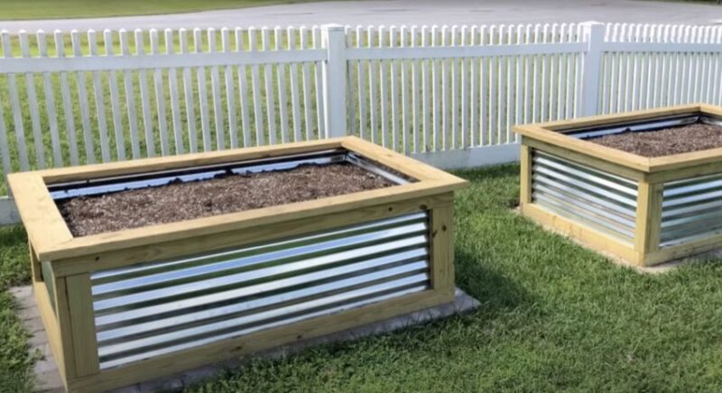 raised garden beds