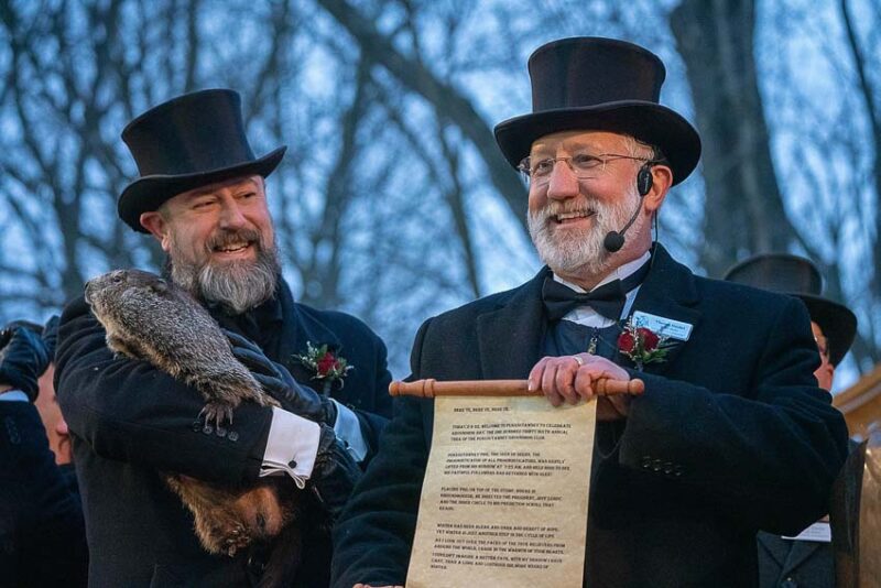 punxsutawney phil