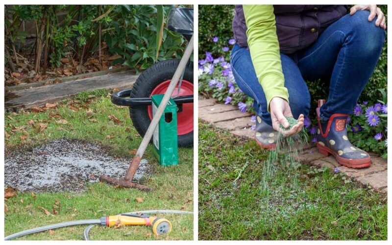 Grass patch repair to care for your lawn