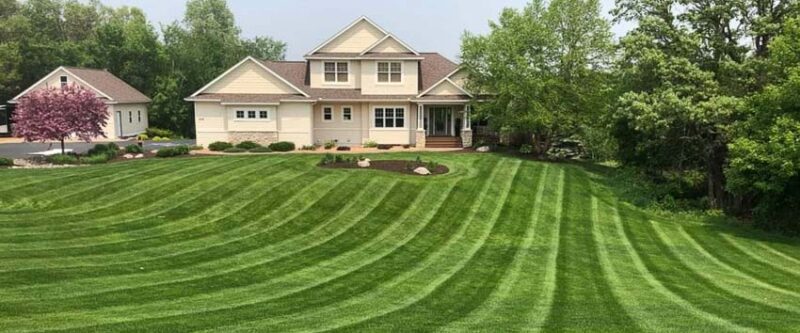 How to Care for Your Lawn