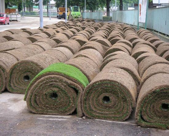 how much does it cost to install sod